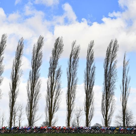 77th Paris - Nice 2019 - Stage 2