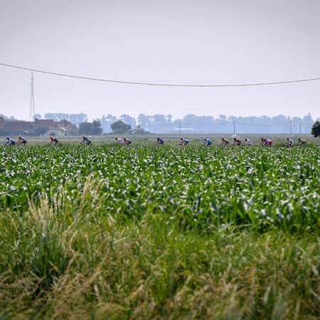 37th ElfstedenRonde - Brugge 2019