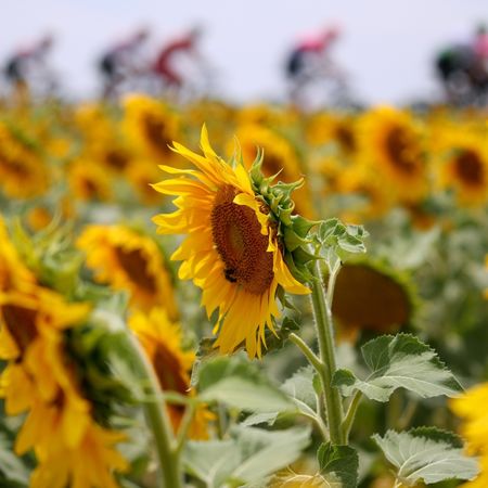 106th Tour de France 2019 - Stage 11