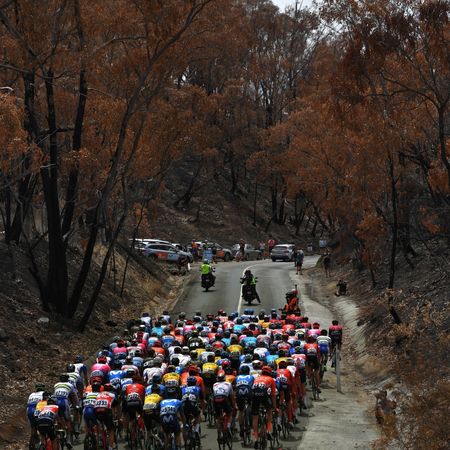 22nd Santos Tour Down Under 2020 - Stage 2