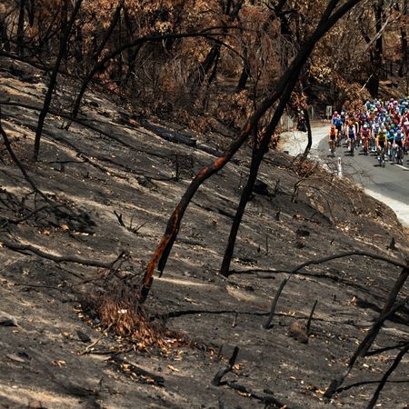 22nd Santos Tour Down Under 2020 - Stage 2