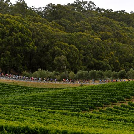22nd Santos Tour Down Under 2020 - Stage 3