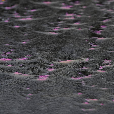 103rd Giro d'Italia 2020 - Stage Nine