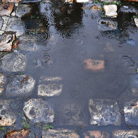 118th Paris-Roubaix 2021 - Men's Eilte