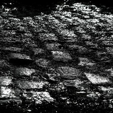 118th Paris-Roubaix 2021 - Men's Eilte