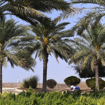 4th UAE Tour 2022 - Stage 3