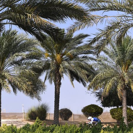 4th UAE Tour 2022 - Stage 3