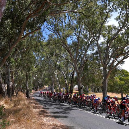 21st Santos Tour Down Under 2019 - Stage 5