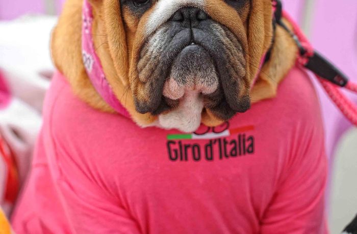 Giro d`Italia - rit 2