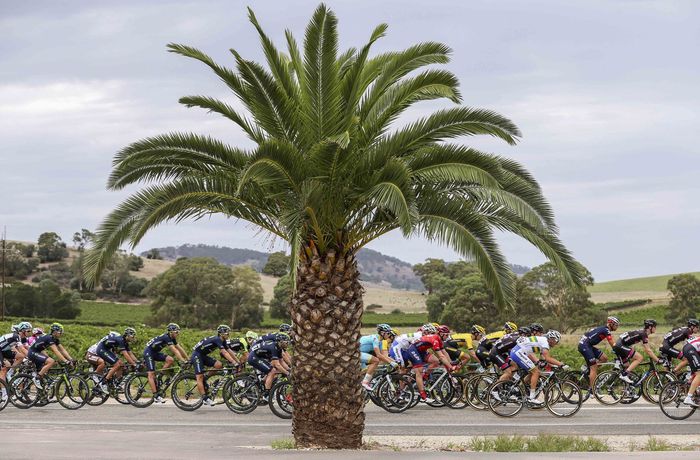 Santos Tour Down Under - stage 1