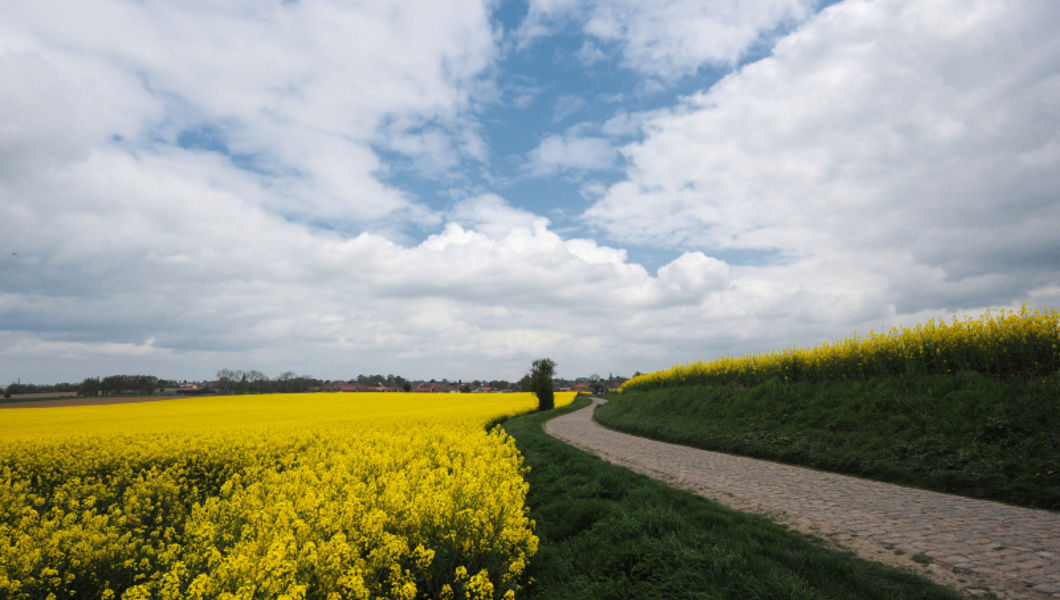 The magic of Paris-Roubaix