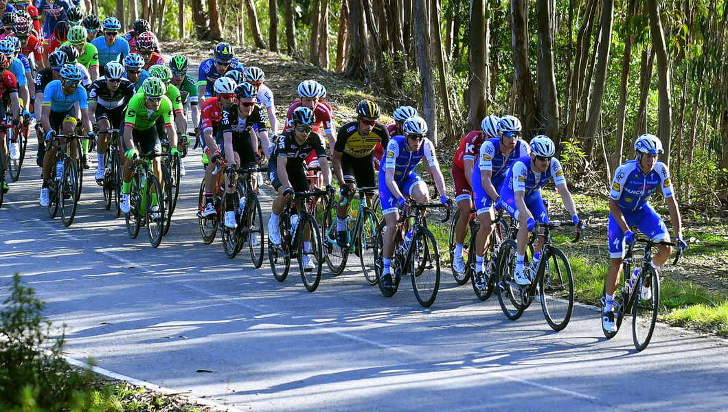 Quick-Step Floors Team selectie Critérium du Dauphiné