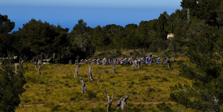 Challenge Mallorca