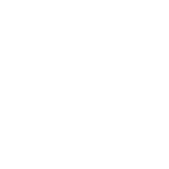 Logo Napoleon Sports & Casino