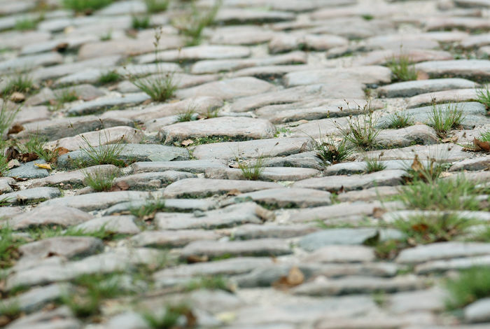 De magie van Parijs-Roubaix